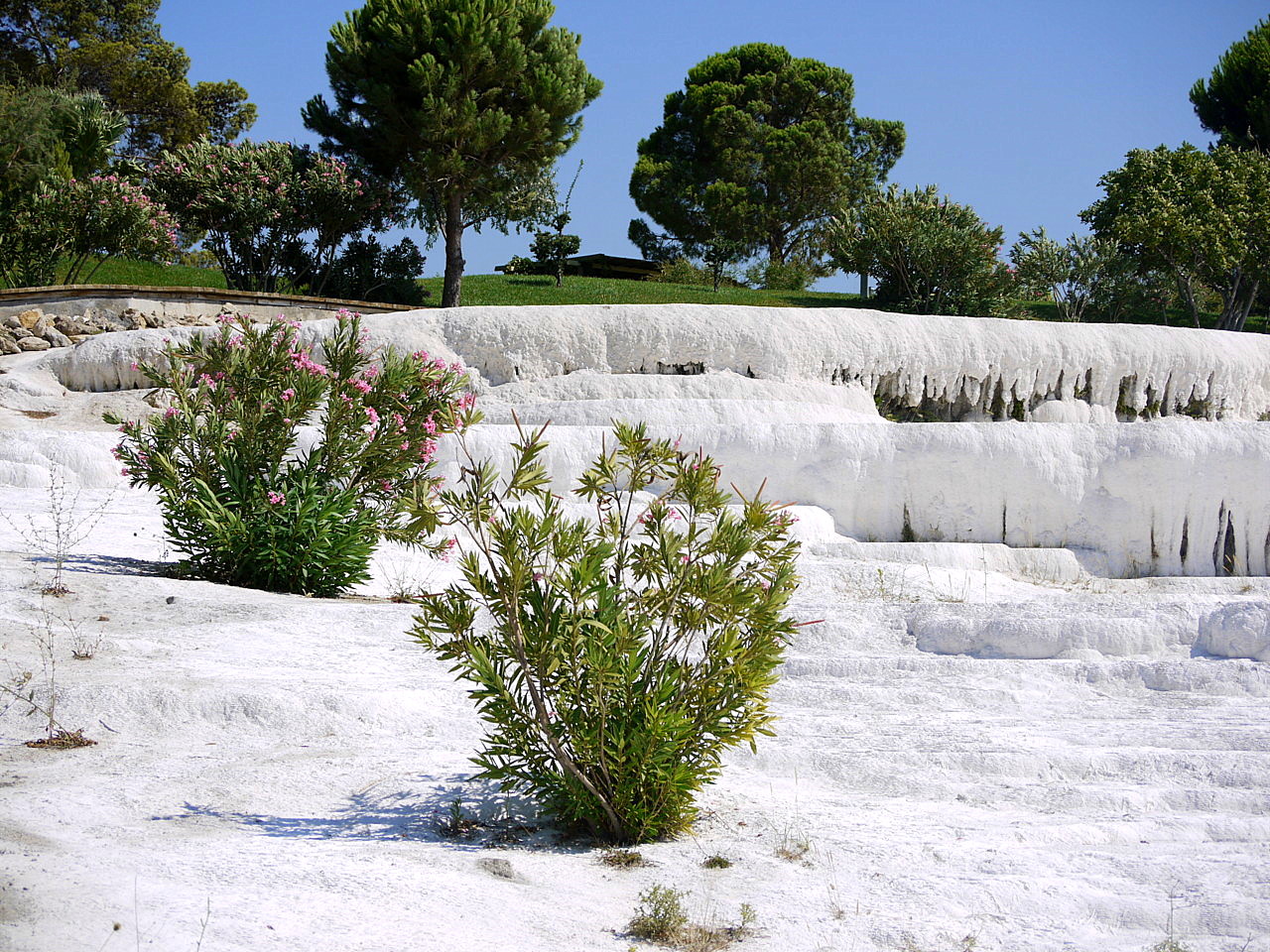 The calcium travertines at Pamukkale